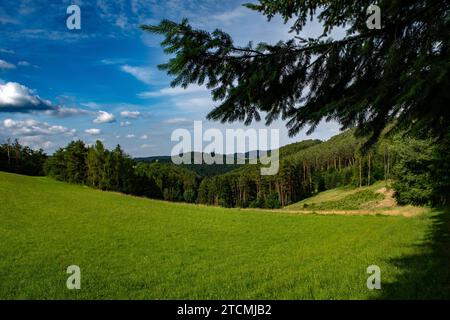 Paysage rural avec pâturages et forêts dans la région Waldviertel en Autriche Banque D'Images