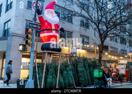 Arbre de Noël sellerÕs dans la forêt du quartier Chelsea de New York le jeudi 7 décembre 2023. (© Richard B. Levine) Banque D'Images