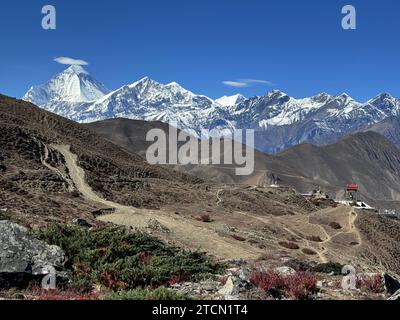 Vue du pic Dhaulagiri, la plus haute montagne du monde à 8167 mètres vu de Muktinath - Lower Mustang, Népal Banque D'Images