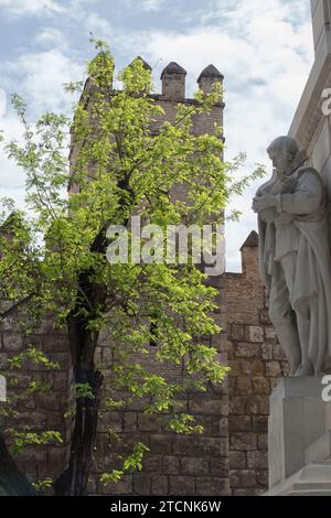 Séville, 03/24/2020. Alerte Coronavius. Ressort. Fleurs dans la ville. Sur l'image, la statue de Miguel CID dans le Monument à l'Immaculée conception, avec une des tours du Alcázar en arrière-plan. Photo : Rocío Ruz ARCHSEV. Crédit : Album / Archivo ABC / Rocío Ruz Banque D'Images