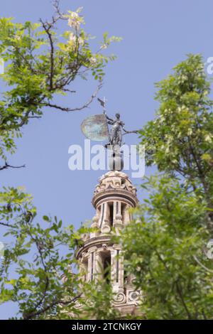 Séville, 03/24/2020. Alerte Coronavius. Ressort. Fleurs dans la ville. Photo : Rocío Ruz Archsev. Crédit : Album / Archivo ABC / Rocío Ruz Banque D'Images