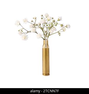 Belles fleurs de gypsophila en cas de balle isolé sur blanc Banque D'Images