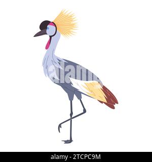 grue couronnée grise animal de la nature sauvage ont la jambe haute et la tête en crête belle plume Illustration de Vecteur
