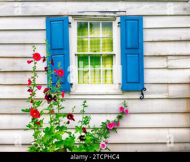 Fenêtre Cottage avec volets bleus et fleurs Banque D'Images