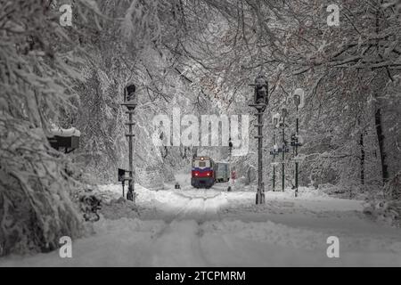 Budapest, Hongrie - Belle scène de forêt d'hiver avec forêt enneigée et vieux train coloré pour enfants sur la piste dans les collines de Buda près de Csilleberc Banque D'Images