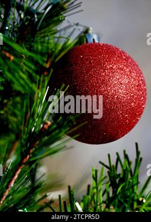 Un seul ornement rouge décoré est accroché à un arbre de Noël à l'extérieur. Banque D'Images