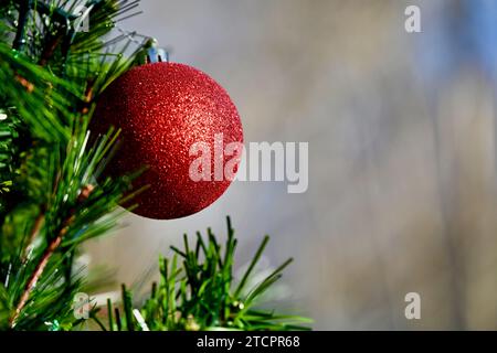 Un seul ornement rouge décoré est accroché à un arbre de Noël à l'extérieur. Banque D'Images