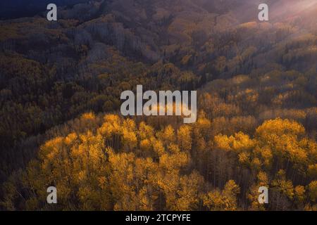 Une vue panoramique avec un vaste paysage de montagnes et de grands arbres se prélassant dans la chaude lumière du soleil Banque D'Images