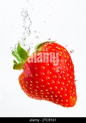 Strawberry tombe profondément sous l'eau avec un grand bruit. Naufrage de fruits dans l'eau claire sur fond blanc. Concept antioxydant Banque D'Images