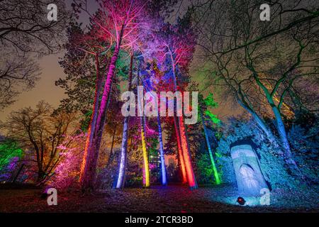 Du 9 décembre 2023 au 14 janvier 2024, le Palmengarten de Francfort-sur-le-main accueillera pour la 11e fois les lumières d’hiver. Un total de 25 lumières Banque D'Images