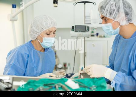 Vétérinaire femelle mature effectuant une opération chirurgicale à la clinique vétérinaire avec assistant Banque D'Images