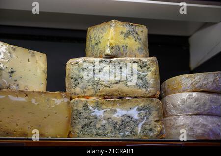 Différents fromages asturiens à base de vache, de chèvre et de mouton melk exposés dans la fromagerie fermiers, Asturies, Espagne du Nord, en gros plan Banque D'Images