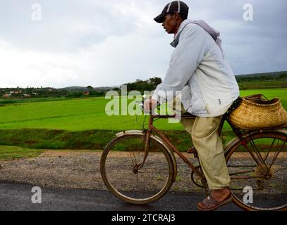 Un malgache pédalant le long de la route de campagne dans le centre de Madagascar. Banque D'Images