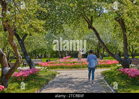 Femme marche sous les pommiers en fleurs dans le domaine Kolomenskoye au printemps. Moscou, Russie. Banque D'Images