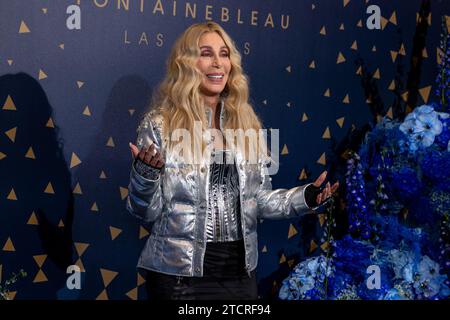 Cher assiste à l'inauguration de Fontainebleau Las Vegas le 13 décembre 2023 à Las Vegas, Nevada. (Travis P ball/Sipa USA) Banque D'Images