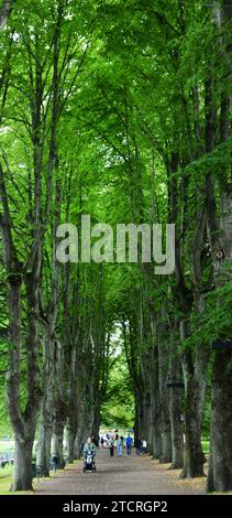 Un beau sentier arboré au parc Slotts dans le centre de Malmo, Suède. Banque D'Images