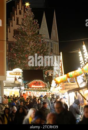 13.12.2023 Frankfurt Impressionen auf dem Frankfurter Weihnachtsmarkt vor dem Römer mit Weihnachtsbaum Sonny - eine Rotfichte aus dem Sauerland Francfort main Hessen Deutschland *** 13 12 2023 Frankfurt impressions au marché de Noël de Francfort devant le Römer avec sapin de Noël Sonny une épinette rouge du Sauerland Frankfurt main Hessen Allemagne Banque D'Images