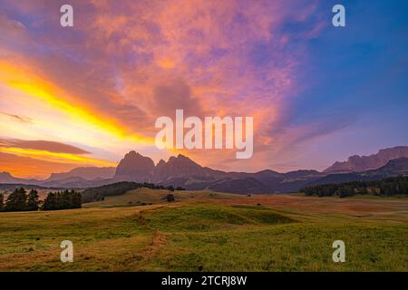 Alpe di Siusi (Seiser Alm), le plus grand pâturage de haute montagne d'Europe dans le Tyrol du Sud, Italie. Un paysage captivant se déploie Banque D'Images