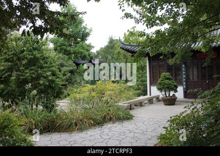 Jardin de Chine à Luisenpark, Mannheim, Allemagne Banque D'Images