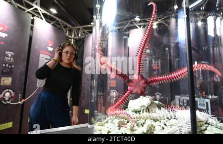 Stuttgart, Allemagne. 14 décembre 2023. Un visiteur de l'exposition spéciale intitulée 'Rock Fossils feat. Les Rolling stoneflies écoutent de la musique rock au musée d'histoire naturelle du Löwentor tout en regardant un modèle d'étoile serpent qui a vécu il y a 75 millions d'années. La star a été nommée d'après les musiciens du groupe de rock Rotting Christ. Des fossiles et des objets nommés en l'honneur des étoiles de la scène rocheuse et métallique sont exposés. L’exposition sera exposée au Naturkundemuseum Stuttgart du 16.12.2023 au 16.06.2024. Crédit : Bernd Weißbrod/dpa/Alamy Live News Banque D'Images