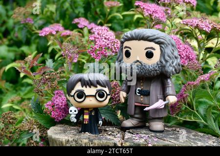 Funko Pop figurines d'action de Harry Potter avec hibou et garde-chasse demi-géant Hagrid avec parapluie. Fleurs roses, clairière de forêt, souche d'arbre, magique. Banque D'Images