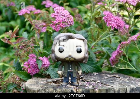 Funko Pop figurine d'action du magicien Sirius Black du film Harry Potter debout sur la souche d'arbre. Fleurs roses, clairière de forêt, magique, monde sorcier. Banque D'Images