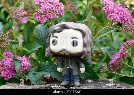 Funko Pop figurine d'action du magicien Sirius Black du film Harry Potter debout sur la souche d'arbre. Fleurs roses, clairière de forêt, magique, monde sorcier. Banque D'Images