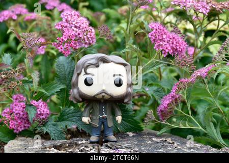 Funko Pop figurine d'action du magicien Sirius Black du film Harry Potter debout sur la souche d'arbre. Fleurs roses, clairière de forêt, magique, monde sorcier. Banque D'Images