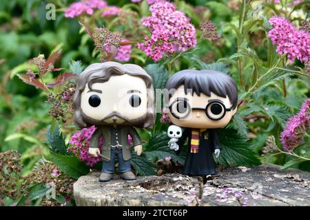Funko Pop figurines d'action de Harry Potter avec hibou et magicien Sirius Black debout sur la souche d'arbre. Fleurs roses, clairière de forêt, monde sorcier. Banque D'Images