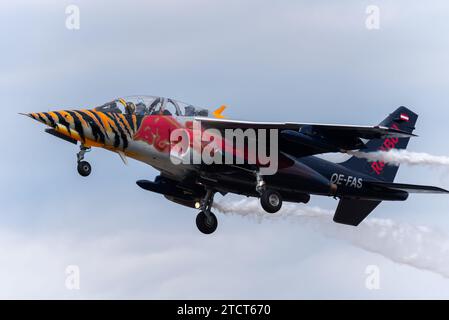 Flying Bulls, Red Bulls a sponsorisé le Dornier Alpha Jet au salon aéronautique international de Farnborough, FIA 2018. Ex-entraîneur à réaction de l'armée de l'air allemande Banque D'Images