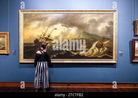 Musée royaux des Beaux-Arts de Belgique, Musées royaux des Beaux-Arts de Belgique, Bruxelles, Bruxelles visiteur regardant une peinture Banque D'Images