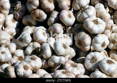 Ail frais en vente au marché. Banque D'Images