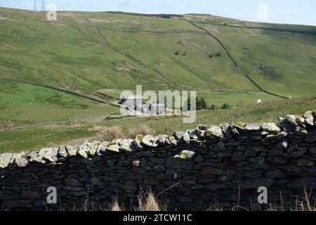 Hause foot Farm près du mur de pierre sur le chemin de la 'High House Bank' de Wainwright dans la vallée de Crookdale, parc national de Lake District, Cumbria, Angleterre. ROYAUME-UNI. Banque D'Images