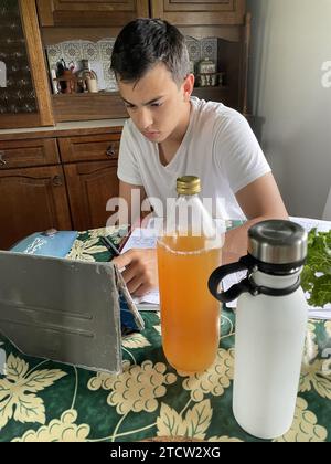 Etudiant du secondaire faisant ses devoirs au Mesnil en Ouche, France Banque D'Images