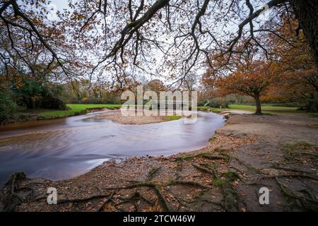 Brockenhurst River Beach, connue localement sous le nom de Brock Beach sur la rivière Lymington, Brockenhurst dans le parc national de New Forest, Hampshire, Angleterre, Royaume-Uni Banque D'Images