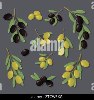 Ensemble de branches d'olivier noir et vert. Olives de jeu de couleur avec des feuilles dans le dessin animé et plat style simple. Conception pour les produits de fruits d'olive, huile, soins de santé p Illustration de Vecteur