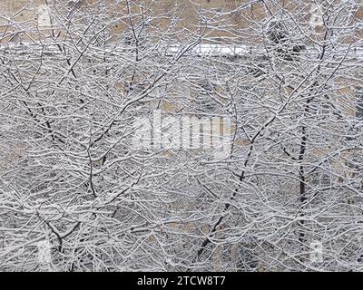 Non exclusive : KIEV, UKRAINE - 14 DÉCEMBRE 2023 - les arbres sont couverts de neige, Kiev, capitale de l'Ukraine. Banque D'Images