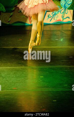 Les pieds des ballerines Banque D'Images