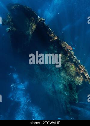 Plongée à USAT Liberty Wreck à Tulamben, Bali. Plongée libre en haute mer Banque D'Images