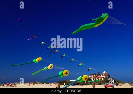 Cerf-volant, plage de la Concha, El Cotillo, Fuerteventura, Îles Canaries, Espagne. Banque D'Images