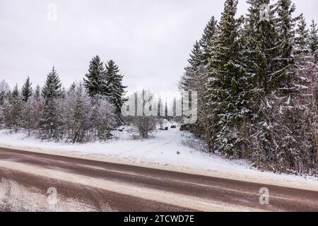 Beau paysage d'hiver avec une route asphaltée serpentant à travers des arbres forestiers enneigés, créant une scène sereine et pittoresque. Suède. Banque D'Images