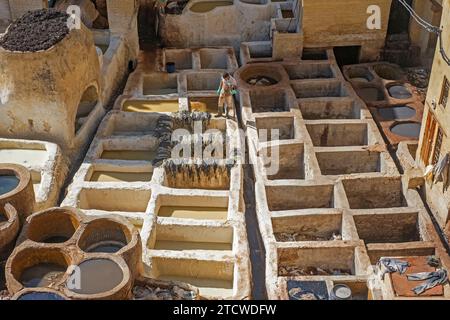 Sidi Moussa Tannerie avec des récipients en pierre ronde remplis de colorants et de liquides adoucissants dans la médina Fes el-Bali de la ville Fès / Fès, Fès-Meknès, Maroc Banque D'Images