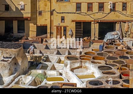 Sidi Moussa Tannerie avec des récipients en pierre ronde remplis de colorants et de liquides adoucissants dans la médina Fes el-Bali de la ville Fès / Fès, Fès-Meknès, Maroc Banque D'Images