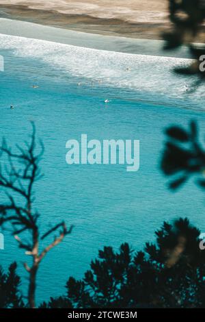 Plage d'Ohope en Nouvelle-Zélande montrant les surfeurs dans l'eau et la plage à travers la flore et la faune. Banque D'Images