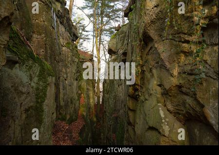 Devil gorge à l'Eifel, Teufelsschlucht avec rochers puissants et canyon, sentier de randonnée en Allemagne, formation rocheuse de grès, automne Banque D'Images