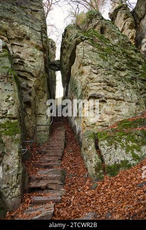 Devil gorge à l'Eifel, Teufelsschlucht avec rochers puissants et canyon, sentier de randonnée en Allemagne, formation rocheuse de grès, automne Banque D'Images