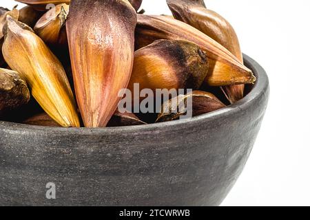 graines de pinaceae ou d'araucariaceae, utilisées en cuisine, fruits d'hiver typiques sur fond blanc isolé. Banque D'Images