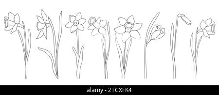 Page à colorier de fleurs de jonquille dessinée à la main pour les enfants est Une illustration vectorielle en noir et blanc adaptée à l'impression Illustration de Vecteur