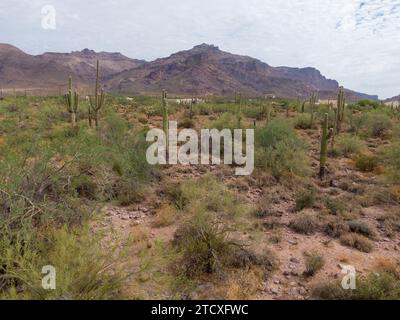 Diverses images de drones des montagnes de superstition dans le canyon d'or Arizona prises à différents moments de la journée. Banque D'Images