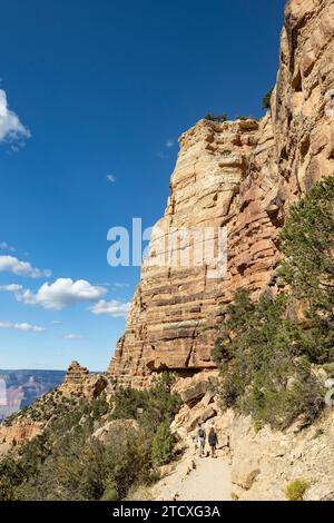 Randonnée South Kaibab Trail vers Ooh AAH point, Grand Canyon, AZ, USA ; orientation verticale Banque D'Images